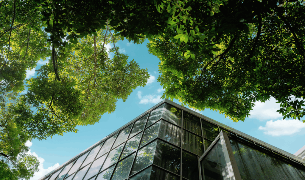Looking up at the outside of a glass walled building