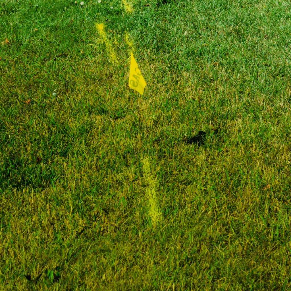 Some grass with painted markings on it