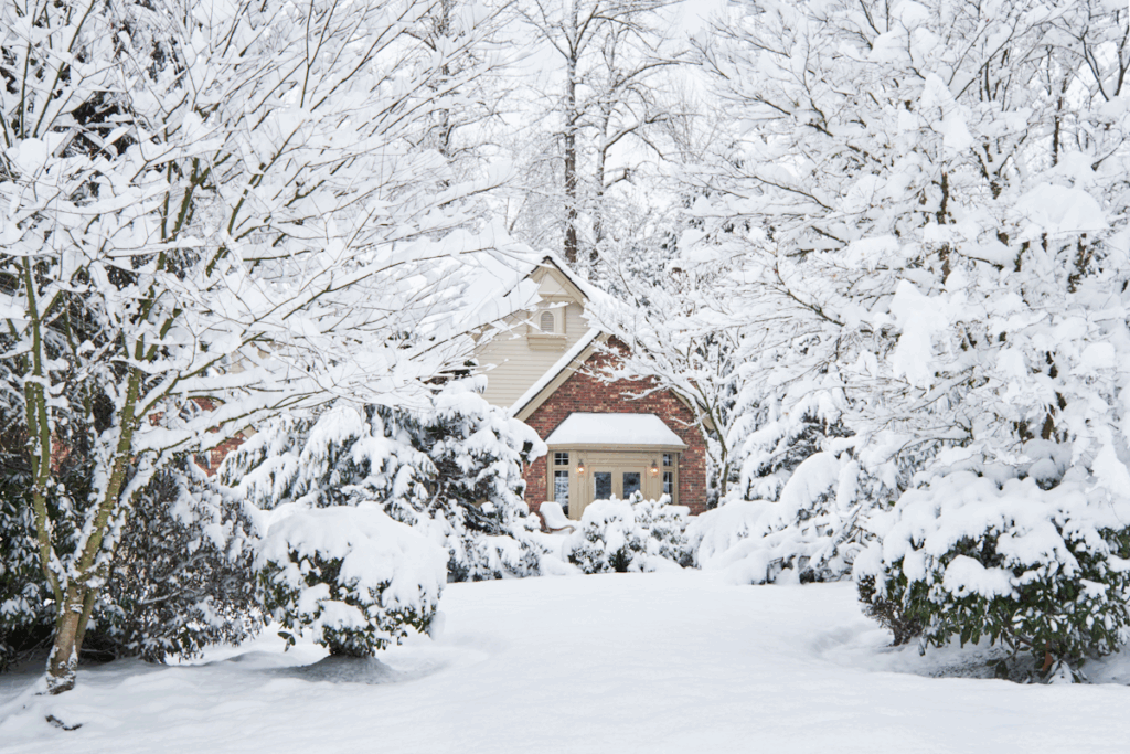 A snowy landscape of a house surrounded by trees.