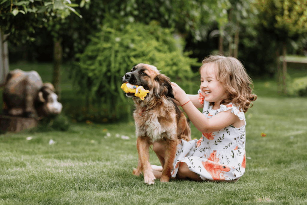 A young girl playing with a dog. The dog has a toy in its mouth.
