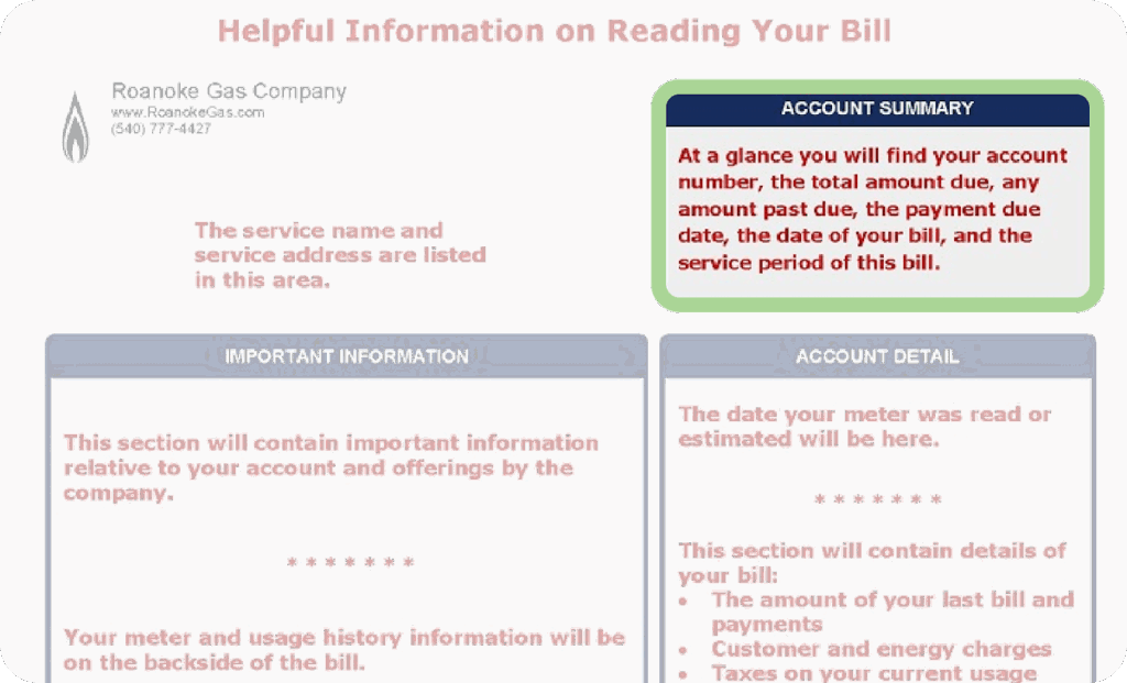 Highlighting the Account Summary section of your bill.