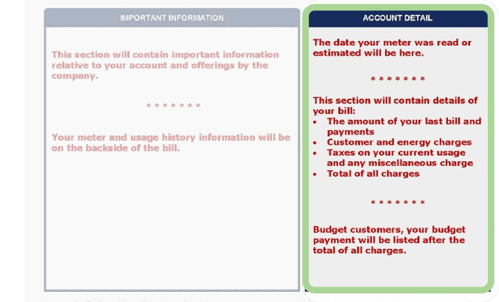 Highlighting the Account Detail section of your bill.