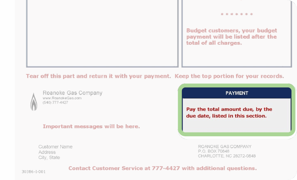 Highlighting the Payment  section of your bill.
