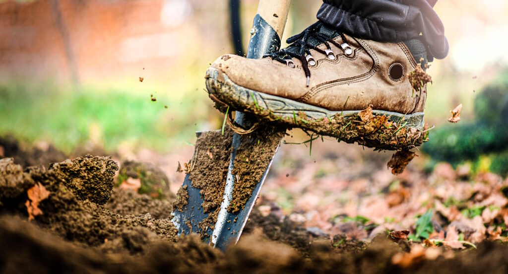 Closeup of a shoe placed on a shovel driving it into the ground.